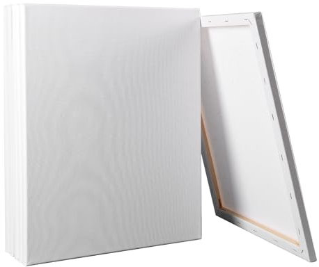 6PCS Artist Blank Canvas Frame, 100% Cotton Pre-Stretched Canvas Artist Blank Canvas Triple Primed/Acid Free/Medium Grain/Professional Artist Acrylic Paint, Oil Paint for Painting (20CM X 30CM)