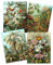 Artery8 Ernst Haeckel Kunstformen Der Natur Plates Nature Vintage Birds Flora Fauna Biology Art Print Poster Home Decor Premium Pack of 4 Kunstformen der Natur