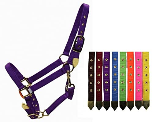 EE Tack Deluxe Halfter - 2-Fach verstellbar - Brass Snap - 8 versch. Farben - Gr. M (Wine-weinrot)