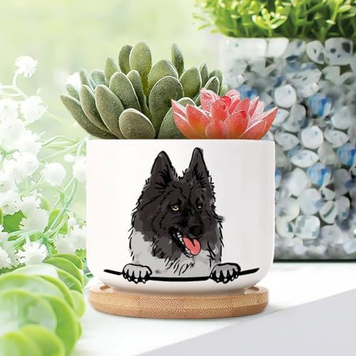 WoGuangis Keeshond Lot de 5 petits pots en céramique pour plantes succulentes avec drainage et plateau en bambou Motif loup allemand