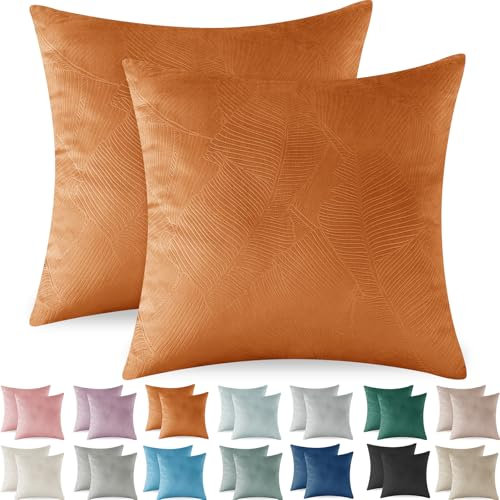 Ystyle Federe Cuscini Divano 45x45 2 Pezzi, Federa Cuscino in Velluto, Copricuscino Divano Lavabili e Resistenti Anallergico Antiacaro e Traspirante con Cerniera Nascosta,Marrone