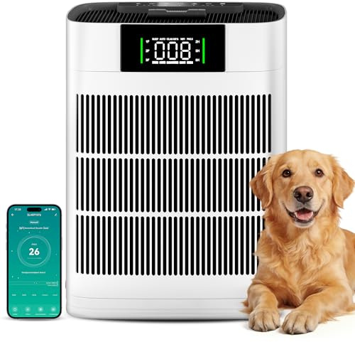Alphaappliance Luftreiniger mit HEPA Luftfilter und Aktivkohlefilter