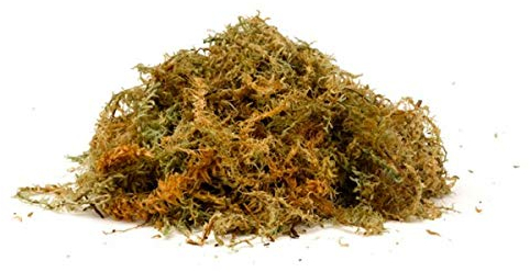 Garden Mile® Sphagnum Moss - Natural Sphagnum Moss Ideal for Terrariums, Live Plant Displays, Wreaths Orchid Potting Mix and Garden Hanging Baskets