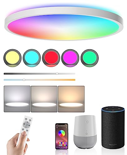 Ceiling Light LED Dimmable Flush Mount Flat RGB Smart Alexa Google Home WiFi with Remote Control for Living Room Bedroom Dinning Kitchen Hallway Bathroom 12Inch 24W White