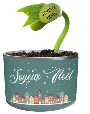 Kit Haricot Magique de Noël en Boîte - Plante à Faire Pousser avec Message Gravé 'Joyeux Noël' - Cadeau Original pour Fêtes de Fin d'Année - Famille, Amis, Maitresse, Maitre