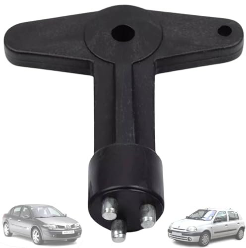 Twowinds - Chiave Coprimozzo Antifurto 7700422600 Compatibile con Renault Clio Espace Kangoo Megane, Opel - Chiave di Sicurezza per Estrattori di Viti