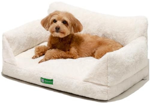 MEWOOFUN Katzen Sofa Katzenbett für Wohnungskatzen, Niedlich Kätzchen Bett Haustiersofa mit abnehmbarem, waschbarem Bezug und Rutschfester Unterseite für kleine Hunde (Weiß, M)