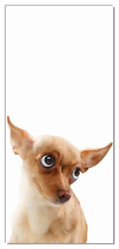 Wallario Selbstklebende Türtapete mit Schutzlaminat Lustiger Hund mit fliegenden Ohren - Türposter 100 x 220 cm Abwischbar, rückstandsfrei zu entfernen