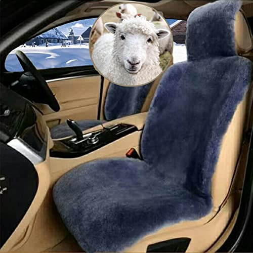 Altlue Lammfell Autositzbezüge - Universelle Sitzauflage Für Auto Vordersitze, Blau (Einteilig)