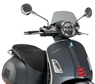 Puig 20500H GTS Sport Rollerscheibe optimierte Aerodynamik, Getönt