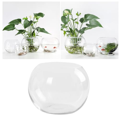 TOPPERFUN Bubble Bowl Vase Pflanzgefäß Töpfe für Zimmerpflanzen Blumenvase Pflanzgefäße für Zimmerpflanzen Fischschale Klar Bubble Bowl Blumentöpfe Desktop Vase Büro Betta Fisch Dekorationen