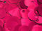 PAILLETTES PER CLUTCH, BIJOUX, BORSE E PROGETTI HANDMADE (FUCSIA)