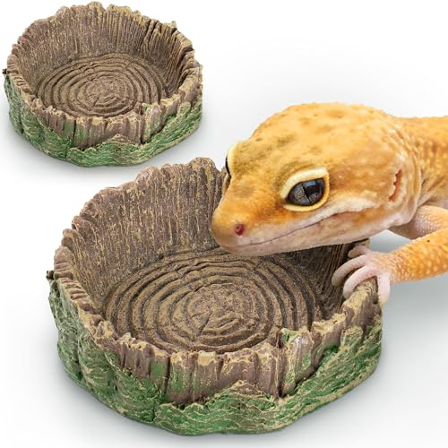 Mygeromon Terrarium Zubehör Reptilien Futterschale Gecko Wasserschale