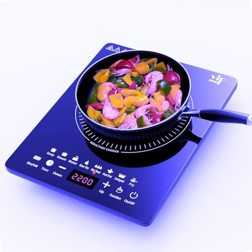 Plaque à induction, 2200W plaque de cuisson induction portable avec fonctionnement silencieux, 8 modes de cuisson tactile avec capteur, brûleur de comptoir multifonction (XQ7)