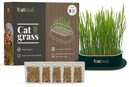 CATITUD cat Grass (KIT Includes Pot with Non-Slip Base and 5 Packets of HYDROPONIC Seeds) cat Grass for Indoor Cats, cat Grass kit