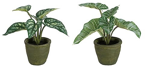 J-Line Anthurium/Taro Geant en Pot Plastique Vert Assortiment De 2