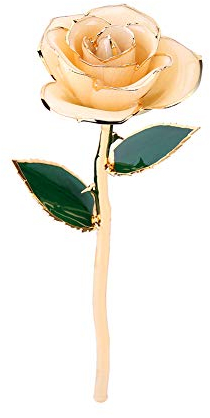 24k Gold Dipped Rose, Valentines Day Gold Rose for Her Hand Dipped 24K Golden Rose Flower for Anniversary, Birthday, Engagement, Mothers Day Champagne Color