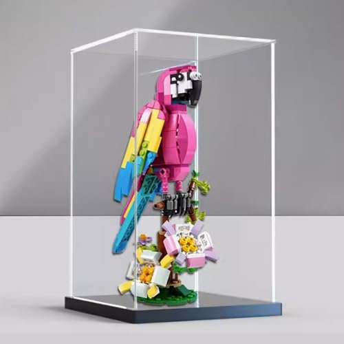 Boîte de présentation en acrylique pour Lego 31144 perroquet exotique rose, boîte de présentation transparente anti-poussière compatible avec kit de construction Lego 31144 (modèle non inclus) (base