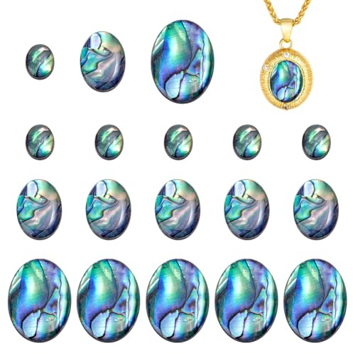 PH PandaHall Abalone-Muschel Cabochons 18 Stück Natürliche Paua Muschel 3 Größen Bunte Ovale Abalone Flatback Perlen Für Die Schmuckherstellung DIY Handwerk 10~24.5mm