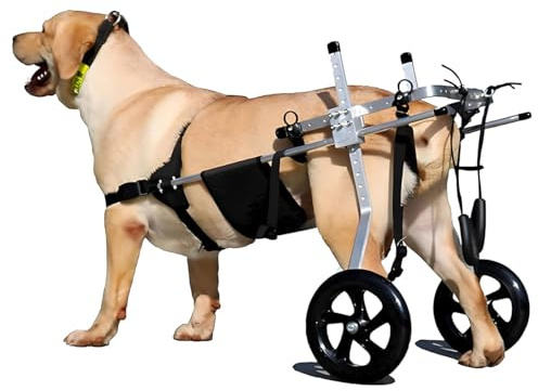MJHETCY Zwei Räder Haustier Rollstuhl Behinderte Hund unterstützte Hinterbein-Sportwagen Für Haustiere innerhalb von 50kg Hunde Körperbehinderter(Size:XXL（25-45kg）)
