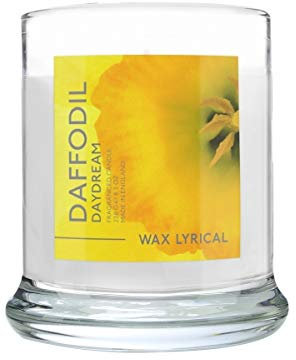 Wax Lyrical - Made in England - Fragranced Jar Candle Daffodil Daydream