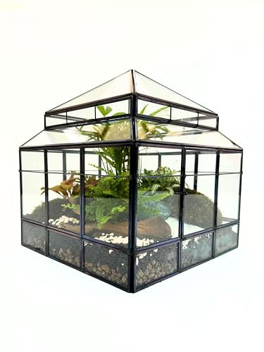 Kit Terrario Invernadero romántico completo de 7 plantas verdaderas, elementos decorativos y accesorios, Terrarium DIY set todo incluido