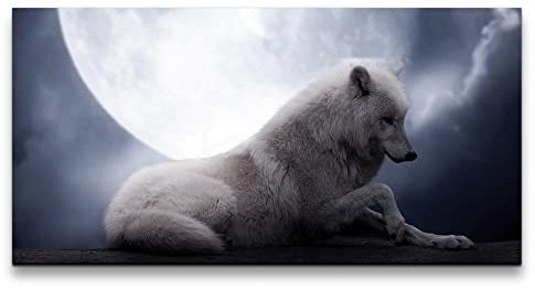 Paul Sinus Leinwandbild 120x60cm Weißer Wolf Vollmond Mystisch Geheimnisvoll Nacht