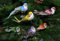 6pcs/Set,künstliche Vögel mit Clip,Dekovögel bunt, Lange Federn,Christbaumschmuck Weihnachtsbaumshmuck Vögel mit Klemmen Klammern, Weihnachtsbaumschmuck, Christbaumdeko Vögel (Dekovögel3)