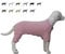 Lovelonglong Ribbed Dog Pajamas Cotton Knitted Dog Jumpsuits 4 Legged All Season Warm Pet Bodysuits for Large Medium Small Dogs Light pink L