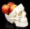 Weiße Totenkopf Schale | Deko Figur Obstschale Totenschädel