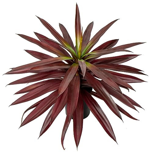 Briful Large Fake Agave Plant 17.3 Inch Red Artificial Yucca Potted Plants Outdoor Faux Agave Plants for Home Room Office Garden Front Porch Patio Decoration
