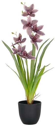 CREATIV green künstliche Orchidee Cymbidium lila 55cm im Kunststofftopf 11,5x10,5cm I künstliche Orchidee mit lila Blüten wie echt im Topf I Pflegeleichte & täuschend echte Kunstblumen