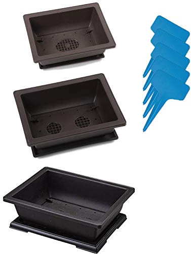 XIAONAN Set of 3PCS 6.3+8.8+11 Bonsai Training Pots, Large Plastic Bonsai Plants Growing Pot with Humidity Trays + 5Pcs Plant Labels for Garden, Yard, Office, Living Room, Balcony etc.