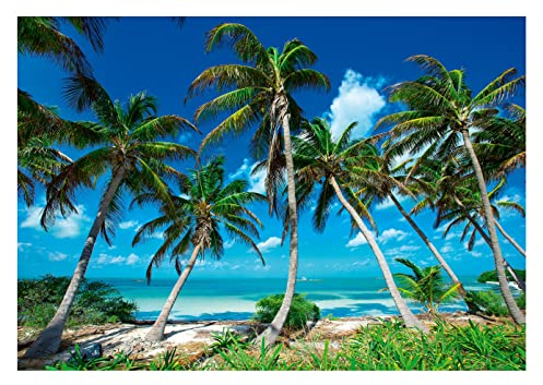 Carta Da Parati Fotografica Spiaggia Palme Mare Paesaggio Tropicale - Include Colla - Moderna Design Carta per Pareti Soggiorno Camera Da Letto Sala Fotomurali In Tessuto Non Tessuto TNT (312x219 cm)