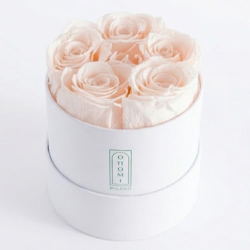 Ottomi Milano 5 Rose Stabilizzate | Fiori di Lunga Durata in Scatola | Idea Regalo I Fatto a Mano (Beige)