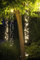 LED Lichterkette Lichterzauber Eisregen Snowfall Effekt warmweiß mit Timer hängend ausgefallene Lichterkette Weihnachtsbeleuchtung Baumbeleuchtung (3 Stränge 360 LED)