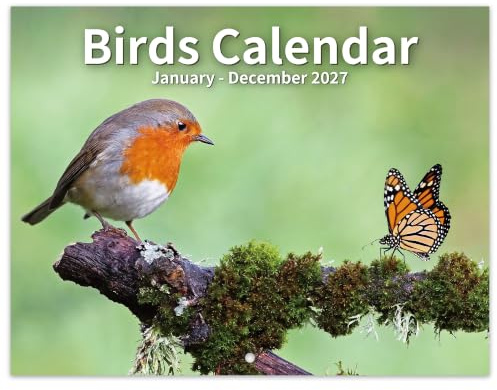 Kalender 2025 – Vogelkalender 2025 UK von Januar 2025 bis Dez. 2025, Wandkalender 2025, UK-Monatsansicht, 27,9 x 21,6 cm, wasserdichter Einband mit einzigartigem Vogelbild
