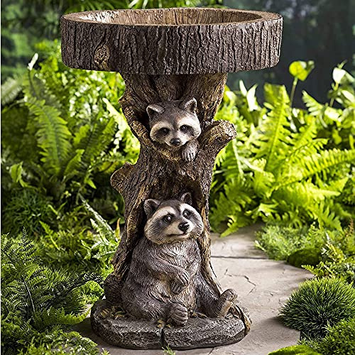 YGMXZL Vogelbad Polyresin Hund/Sonnenblume/Waschbär/Katze Garten Ornament, Vogelbecken Dekorativ, Trinkschale für Rasen Hofdekoration (Waschbär)