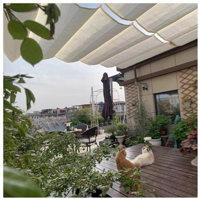 Premium Retractable Pergola Canopy with U Shaped Wave Design Perfect for Balcony & Patio Shade Stylish Sun Protection 1.5m Wide Outdoor Awning