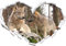 Wölfe im Wald Herzform im 3D-Look , Wand- oder Türaufkleber Format: 92x64,5cm, Wandsticker, Wandtattoo, Wanddekoration