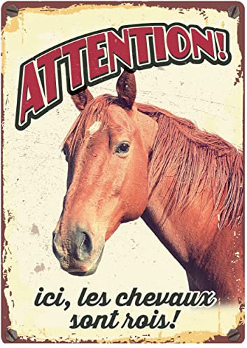 Plenty Gifts - Plaque Rétro en Fer-Blanc | 'Attention! Ici les Chevaux son Rois!' | 21x14.8 cm | Décoration Murale Pour l'Intérieur et l'Extérieur