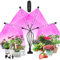 COKOLILA Lampada per Piante, Led Lampada da Coltivazione Spettro Completo con 80LEDs con Timer Auto, Grow light 4 Teste con 360° regolabile, per semina, crescita, fioritura e fruttificazione