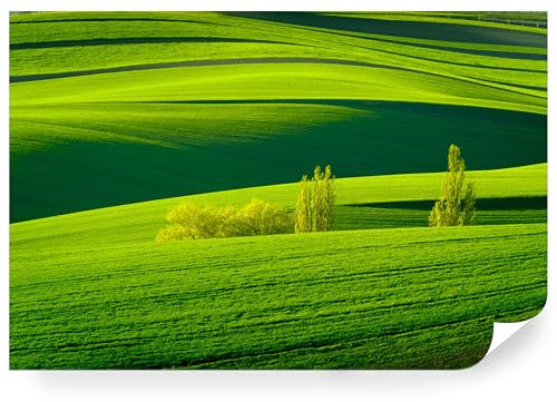 Fototapete Toskana Vlies - Vliestapete Tapete Wandtapete Motivtapeten Vliestapeten Wohnzimmer Schlafzimmer Bildtapete Landschaft grüne Hügel Felder Sonnenuntergang 360x240cm