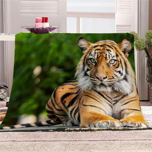 AKATIE 3D Tiger Kuscheldecken 100x130 Kinder Flauschig Decke Waldtiere Warm TV Decke Weich Plüsch Leichte Babydecke Microfaser Flanell Decke Sofadecke