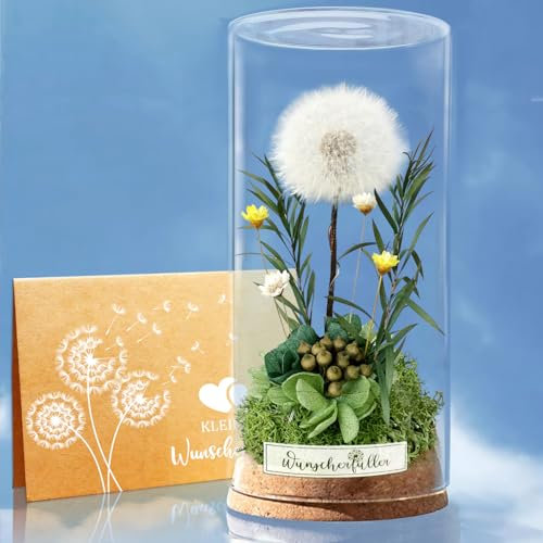 DINGHENG Wunscherfüller Pusteblume im Glas, Konservierte Blumen mit LED Lichterkette Glücksbringer Mitbringsel Geschenkideen Besondere Geschenke für Frau Mama Oma Freundin Kollegin