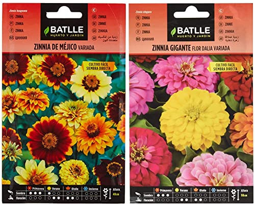 Zinnia de MEJICO variada & Zinnia GIGANTE flor DALIA vda