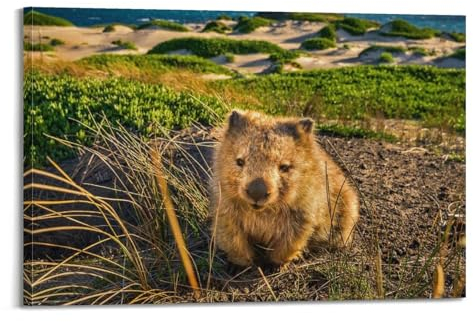 HAYZE Tierposter Tasmanian Wombat Dekorative Leinwand Wand & Kunst Poster Gemälde 60 x 90 cm