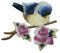 Aufnäher Bügelbild Aufbügler Vogel 100x85mm (1128)