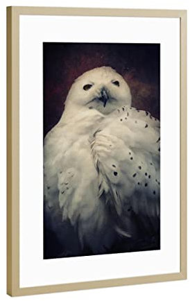 artboxONE Poster mit Rahmen Gold 30x20 cm Hedwig von AD Design - gerahmtes Poster