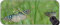 YENDOSTEEN Extended Gaming Mouse Mat/Pad - Large, Butterfly Insect Large Gaming Mat